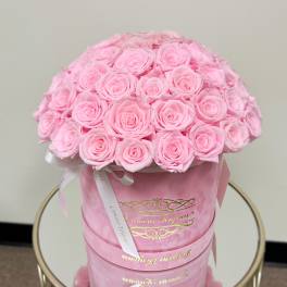 50 Everlasting pink roses