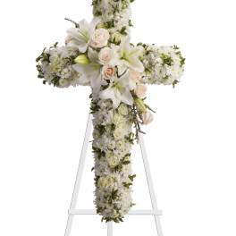 Enlighten Cross