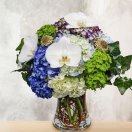Blue and green hydrangea arrangement with white orchids in a glass vase