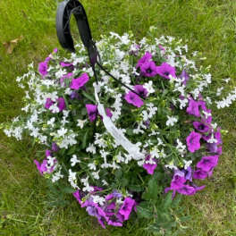 Purple and white floral grave saddle on grass with a black hanger