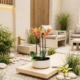 Modern Orchid Miami