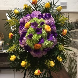 Vanda Surprise