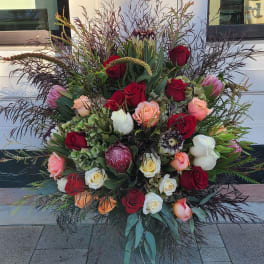 Protea floor spray
