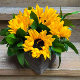 Yellow sunflowers arranged in a dark wooden container