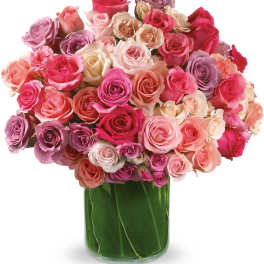 Rose Rapture