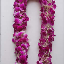 Deluxe Purple Lei