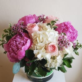Peonies!