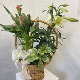 Spring Planter