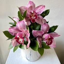 Pink orchids arranged in a white ceramic pot