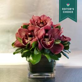 Pink orchids arranged in a clear square vase with glossy green leaves