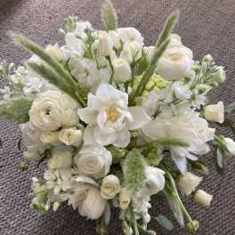 DESIGNERS CHOICE-Serenity