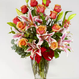 Song of Orange Roses