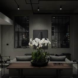 White orchids in a low black planter on a table