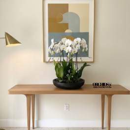 White orchids in a black bowl on a wooden table