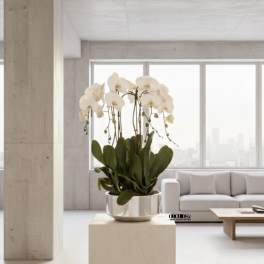 White orchid plant in a metallic pot on a pedestal