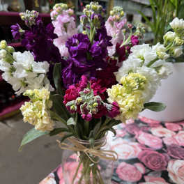 Bouquet of purple, pink, and white stock flowers in a glass vase