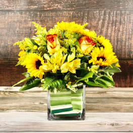 Sunflower Special