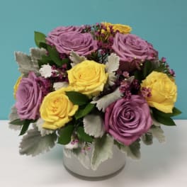 Purple & Yellow Feelings