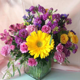 A touch of sunshine