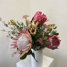 King Protea