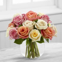 The FTD Sundance Rose
