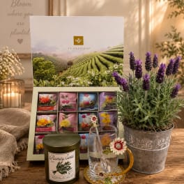 Lavender Tea Escape