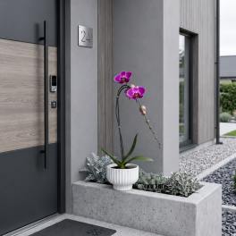 Luxurious Orchid Miami