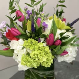 Spring Surprise