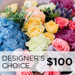 Designer's Choice $100