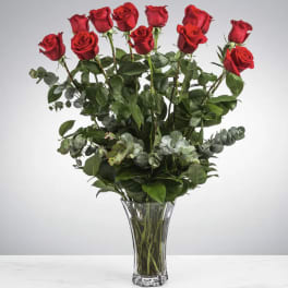 One Dozen Long Stemmed Red Roses