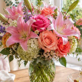 Sweet Spring Serenade
