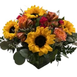 Bouquet of sunflowers, orange alstroemeria, and pink carnations in a vase