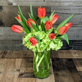 Red tulips and green hydrangeas arranged in a tall clear glass vase on a wooden surface