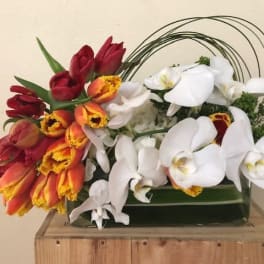Arrangement of red, orange, and white tulips with white orchids in a green container