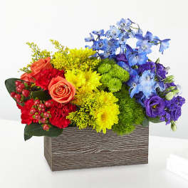 Color of Bloom