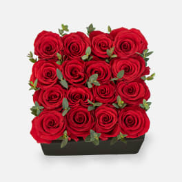 Red Rose Garden