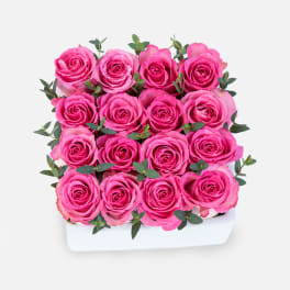 Pink Rose Garden