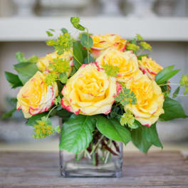 Compact Rose Delight