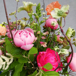 Loose arrangement of bright pink peonies with peach poppies and mixed blooms
