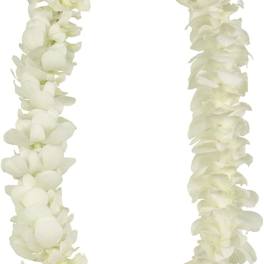 White Orchid Lei