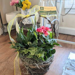 Garden Basket