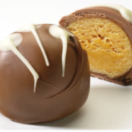 Chocolate-covered truffle candies with white drizzle