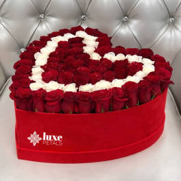 Heart-shaped box of red and white roses on a tufted silver chair