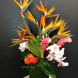 Island Remembrance