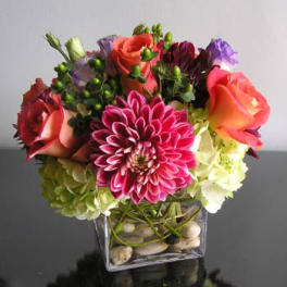 ENCHANTED BLOOMS