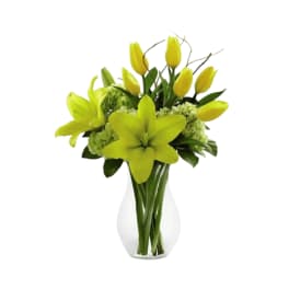 Brightest Blooms