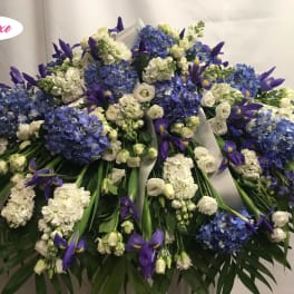 Beautiful in Blue Cover