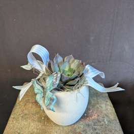 Fluttering Succulent