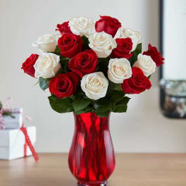 Red and white roses arranged in a red glass vase