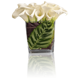 Mini Calla Lovers